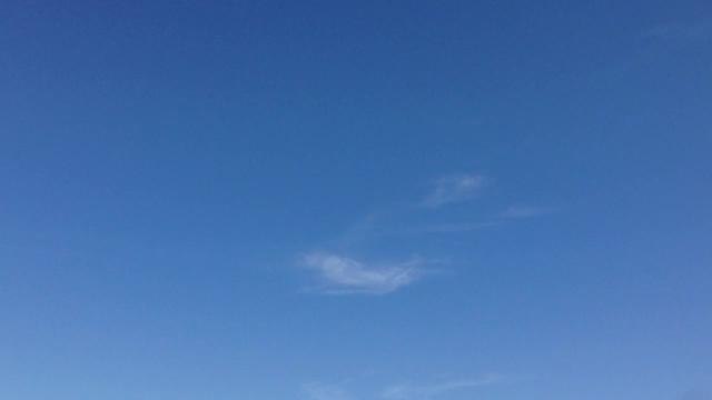 Worthing Globe Primary kitesurfing