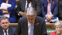 Phillip Hammond Budget 2018 JPNI