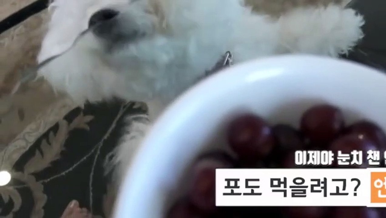 동탄출장안마 -후불100%ョØ7ØA7575A0062｛카톡DDR88｝ 동탄전지역출장안마 동탄오피걸 동탄출장마사지 동탄안마 동탄출장마사지 동탄콜걸샵⊙◈
