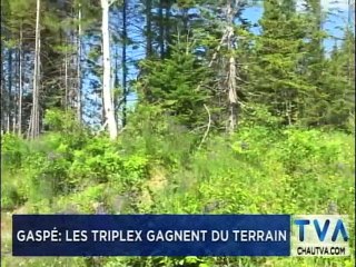 TVA Nouvelles 18h CHAU 18 juillet 2019