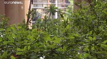 Um oásis verde no meio da city de Londres