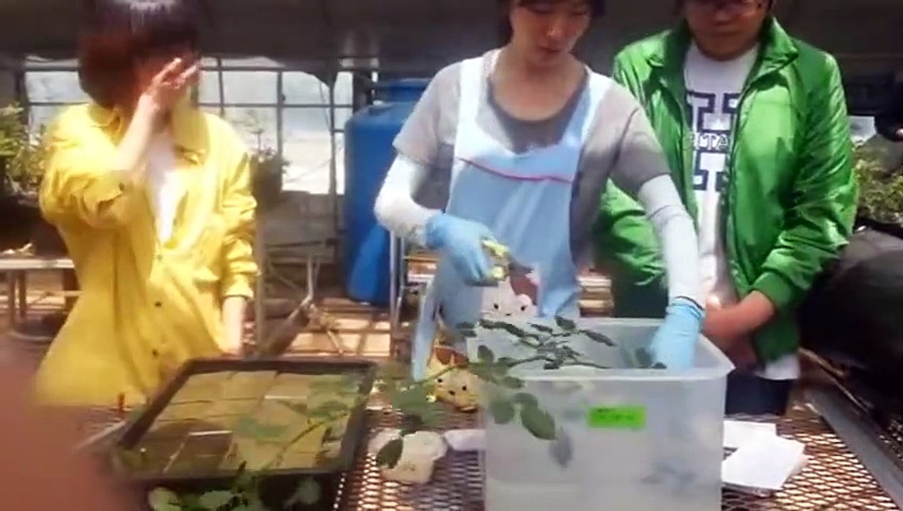 상무출장안마 -후불100%ョØ7ØA7575A0062｛카톡DDR88｝ 상무전지역출장안마 상무오피걸 상무출장마사지 상무안마 상무출장마사지 상무콜걸샵☜●♀
