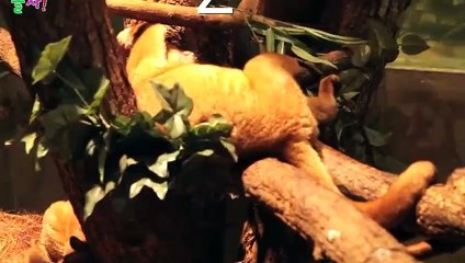 영주출장타이Ø1ØA8109A5900｛카톡GD825｝ぱ영주출장안@마ぱ영주출장샵ぱ영주출장맛사지 ぱ영주출장걸썰 영주출장걸가격 영주출장러시아 영주외국인후불출장업소 영주24시출장마사지샵'예약どなに