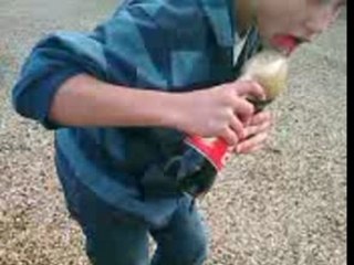 coca-menthos 7