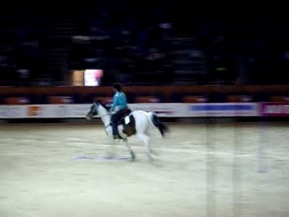 Cheval Passion 2008 - Pole bending