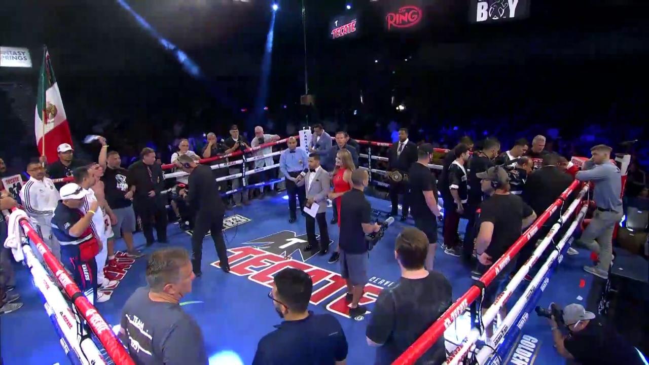 Alberto MELIAN vs. Leonardo BAEZ - Decision