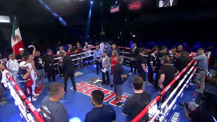 Alberto MELIAN vs. Leonardo BAEZ - Decision