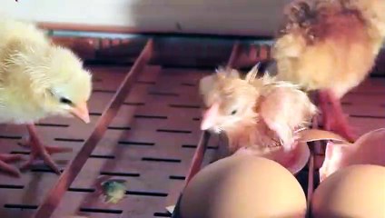 상주출장안마 -후불100%ョØ7ØS7301S9649｛카톡ZF66｝ 상주전지역출장안마 상주오피걸 상주출장마사지 상주안마 상주출장마사지 상주콜걸샵◑