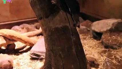 예천출장안마 -후불100%ョØ7ØA7575A0069｛카톡CC6969｝ 예천전지역출장안마 예천오피걸 예천출장마사지 예천안마 예천출장마사지 예천콜걸샵ийк