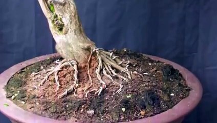 권선출장안마 -후불100%ョØ1ØE7362E3210｛카톡RQ43｝ 권선전지역출장안마 권선오피걸 권선출장마사지 권선안마 권선출장마사지 권선콜걸샵ЕЁЖ