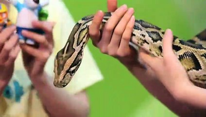 신시가지출장안마 -후불100%ョØ7ØS7333S9649｛카톡LGT010｝ 신시가지전지역출장안마 신시가지오피걸 신시가지출장마사지 신시가지안마 신시가지출장마사지 신시가지콜걸샵キギク