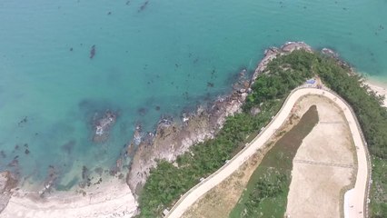 머무는 전남 관광시대 활짝...'블루 이코노미' 뜬다! / YTN