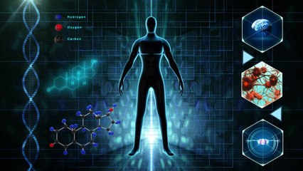 Les chiffres pour comprendre le corps humain