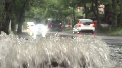 [날씨] '다나스' 주말 강타...남부 물 폭탄 비상 / YTN