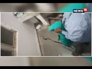 अस्पताल में घुसा कोबरा सांप, मरीजों में मचा हंडकंप