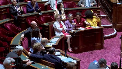 QAG - Claudine THOMAS "La politique de l'autruche n'a qu'assez duré ! Quelles réponses le Gouvernement compte-t-il apporter à ces dérives ?"