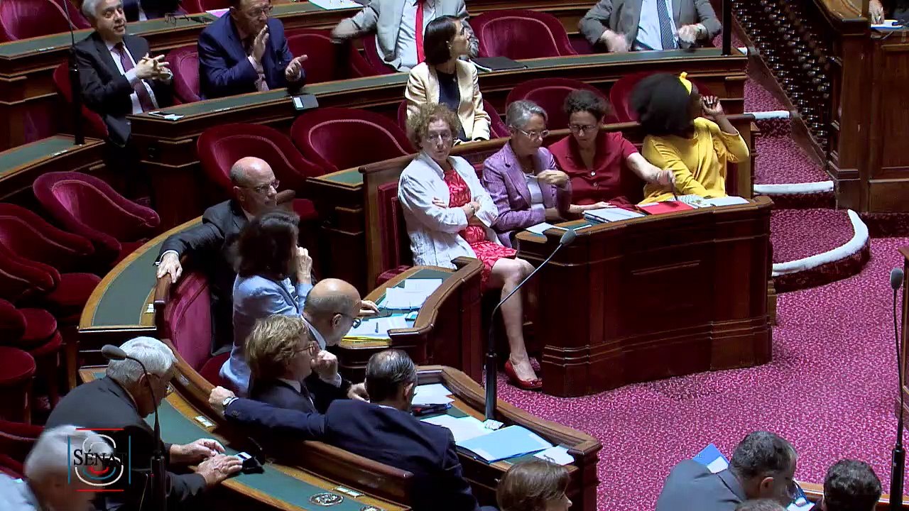 QAG - Claudine THOMAS "La politique de l'autruche n'a qu'assez duré ! Quelles réponses le Gouvernement compte-t-il apporter à ces dérives ?"