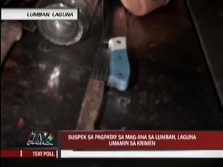 Suspect in Laguna massacre admits to crime