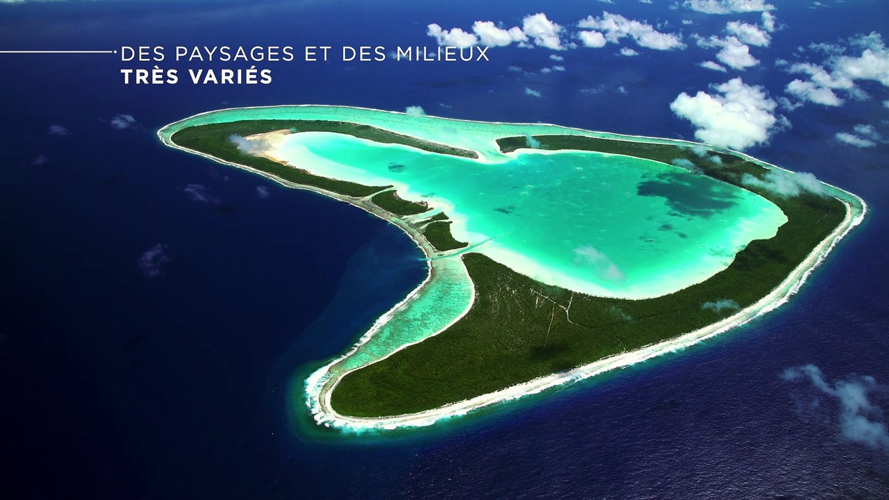 La biodiversité, c'est la vie !