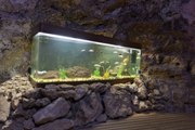Quel éclairage choisir pour son aquarium ?
