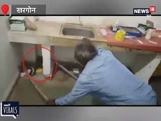 मध्य प्रदेश में अस्पताल के ड्रेसिंग रूम में घुसा कोबरा सांप, मरीजनों के बीच मची खलबली