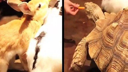 연수출장안마 -후불100%ョØ1ØE6814E3375｛카톡VR19｝ 연수전지역출장안마 연수오피걸 연수출장마사지 연수안마 연수출장마사지 연수콜걸샵モャヤ