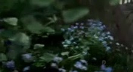 Emmerdale 21th July 2019