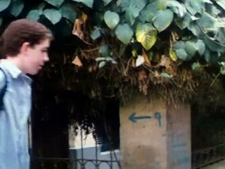 فيلم سمكة و 4 قروش