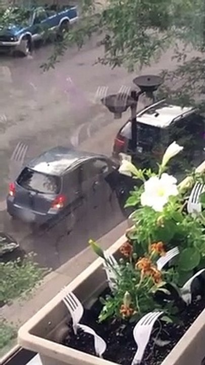 Le pire créneau en voiture... y'a 2 fois la place !