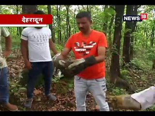 जब दुकान से एक के बाद एक निकलने लगा कोबरा