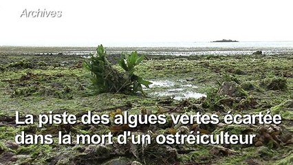 Algues vertes: les autorités du Finistère veulent rassurer