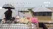 Heavy flooding across Bangladesh as monsoon rains pound south Asia