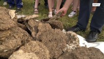 Villagers compete in annual COW DUNG festival in the Urals