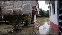 Moment house collapses in India's Bihar as floods death toll 'rises to 78'