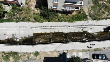 İstanbul'da "Batı Nil Ateşli Virüsü" tehlikesi! Sivrisineklerden bulaşıyor