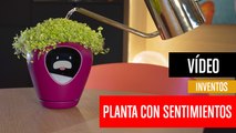 [CH] Lua, la planta con sentimientos