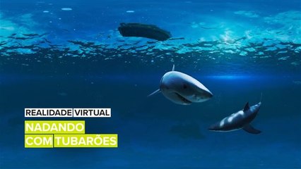 Melhores experiências em Realidade Virtual: Nadando com tubarões