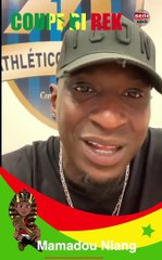 Mamadou Niang aux Lions