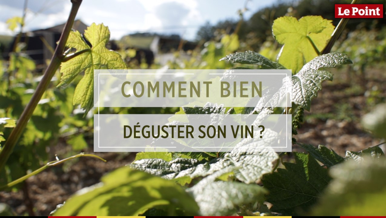 LES TUTOS VINS - Déguster un vin : quelles sont les étapes à respecter ?