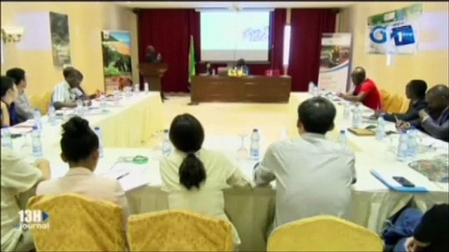 RTG/Certification des ressources forestières gabonaises - WWF Gabon et WWF Chine mutualisent les competences