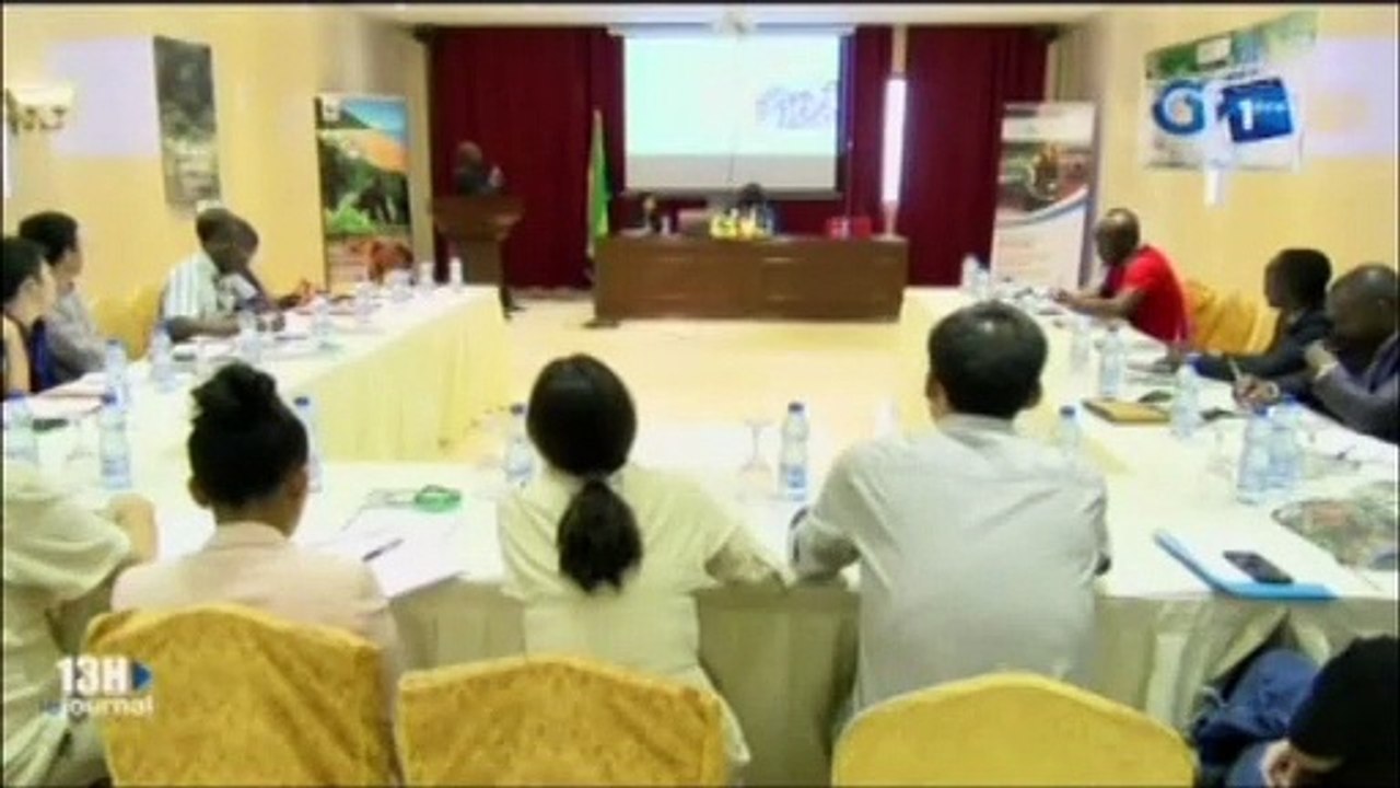 RTG/Certification des ressources forestières gabonaises - WWF Gabon et WWF Chine mutualisent les competences