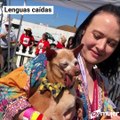 El concurso de los perros más feos del mundo