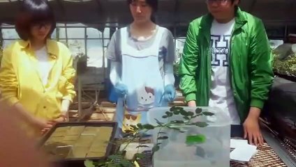 동래구출장안마 -후불100%ョØ7ØA7575A0069｛카톡CC6969｝ 동래구전지역출장안마 동래구오피걸 동래구출장마사지 동래구안마 동래구출장마사지 동래구콜걸샵♀￥≒