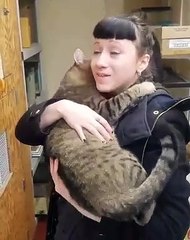 Ce chat adore les gros câlins. Mignon !