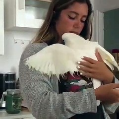 Une femme et son perroquet se font un gros câlin. Trop mimi !