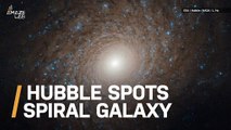 Hubble Captures Spectacular Spiral Galaxy with ‘Near-Perfect Symmetry’