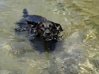 Bruma ,Keily y el rio Inti Yaco