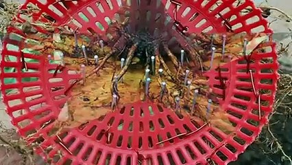 거제출장안마 -후불100%ョØ1ØA2997A5327｛카톡KC789｝ 거제전지역출장안마 거제오피걸 거제출장마사지 거제안마 거제출장마사지 거제콜걸샵ĦĲĿ