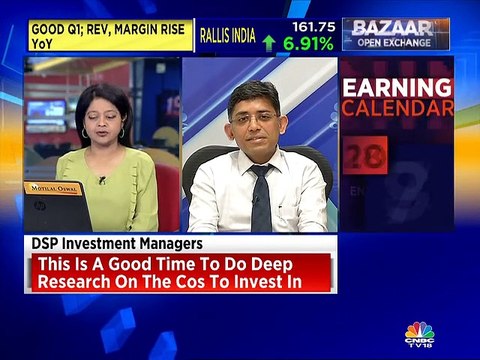 Pain in the auto sector may accentuate going forward, says DSP Investment Managers