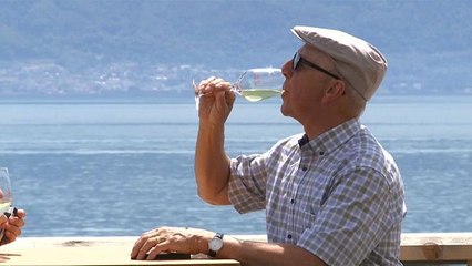 Праздник швейцарского вина